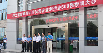 民營企業(yè)500強